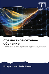Совместное сетевое обучение