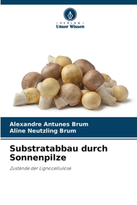 Substratabbau durch Sonnenpilze