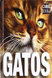 Gatos