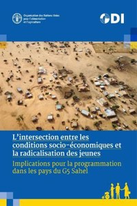L'intersection entre les conditions socio-economiques et la radicalisation des jeunes