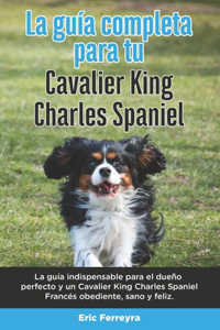 Guía Completa Para Tu Cavalier King Charles Spaniel