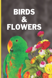 Birds & Flowers