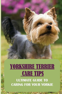 Yorkshire Terrier Care Tips