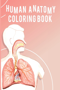 Human Anatomy Coloring Book