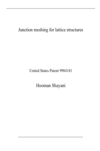 Junction meshing for lattice structures