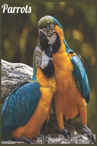 Parrots 2021 Calendar