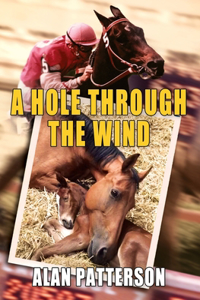 Hole Through The Wind