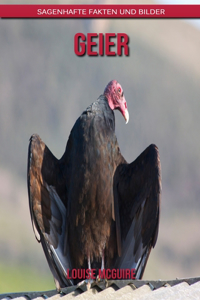 Geier