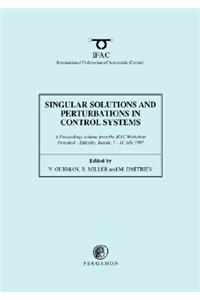 Singular Solutions and Perturbations in Control Systems