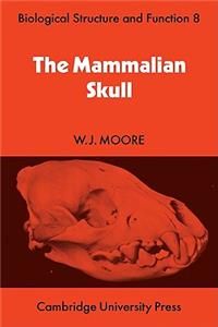 Mammalian Skull