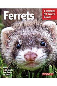 Ferrets: Barron's Pet Owner's Manual