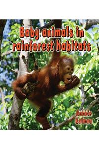 Baby Animals in Rainforest Habitats