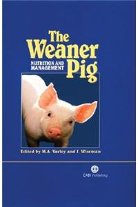 Weaner Pig