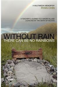 Without Rain There Can Be No Rainbows