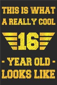 A Really Cool 16 Year Old