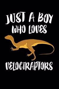 Just A Boy Who Loves Velociraptors