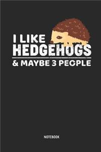 I Like Hedgehogs & Maybe 3 People Notebook