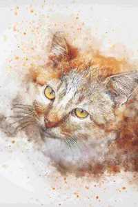 2019-2020 Academic Planner Weekly and Monthly Adorable Cat