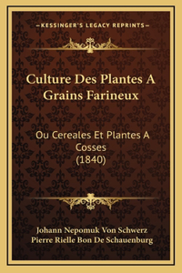 Culture Des Plantes A Grains Farineux