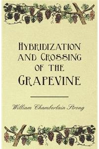 Hybridization and Crossing of the Grapevine