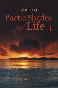 Poetic Shades of Life 3