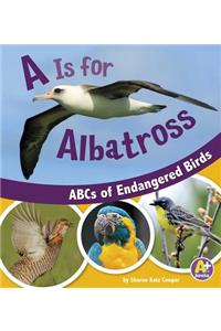 A is for Albatross