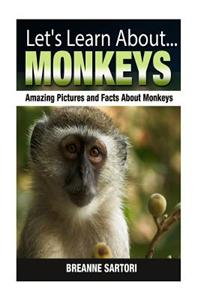 Monkeys: Amazing Pictures and Facts about Monkeys