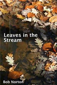 Leaves in the Stream