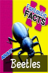 Fantastic Facts about Beetles: Illustrated Fun Learning for Kids