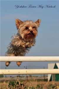 Yorkshire Terrier May Notebook Yorkshire Terrier Record, Log, Diary, Special Memories, To Do List, Academic Notepad, Scrapbook & More
