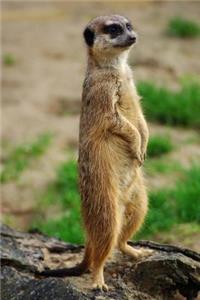 Meerkat Standing Tall Animal Journal