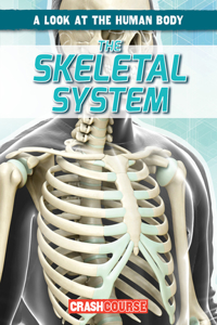 The Skeletal System