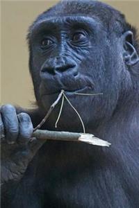 Western Lowland Gorilla Journal: 150 Page Lined Notebook/Diary