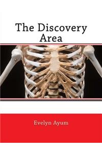 The Discovery Area