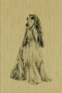Afghan Hound