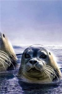 Endangered Species Notebook