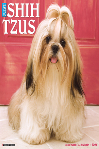 Just Shih Tzus 2021 Wall Calendar (Dog Breed Calendar)