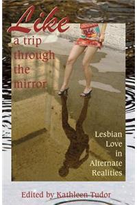 Like a Trip Through the Mirror