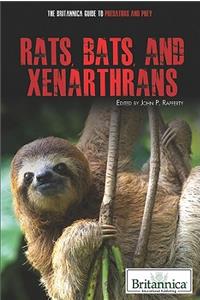 Rats, Bats, and Xenarthrans