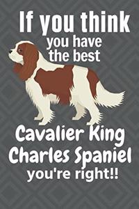 If you think you have the best Cavalier King Charles Spaniel you're right!!