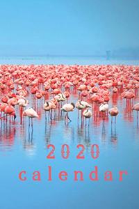 2020 Flamingo Calendar Planner Organizer