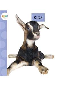 Kids