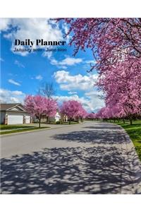 Daily Planner January 2020 - June 2020