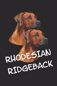 Rhodesian Ridgeback