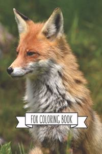 Fox Coloring Book