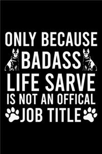 Only Because Badass Life Sarve Is Not An Offical Job Title