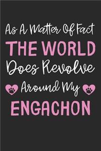 As A Matter Of Fact The World Does Revolve Around My Engachon