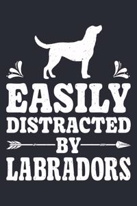 Easily Distracted By Labradors
