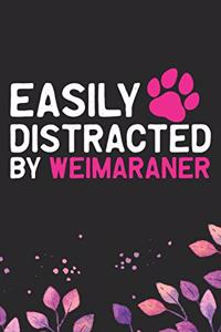 Easily Distracted by Weimaraner