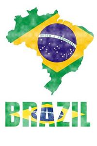Brazil Flag Journal